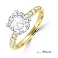 18ct Gold Platinum Solitaire Lab-Grown Diamond Hidden Halo ring