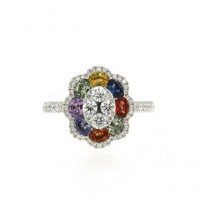 18ct White Gold Rainbow Sapphire & Diamond Cluster Ring