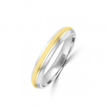 Platinum/18ct Yellow Gold 5mm Wedding Ring