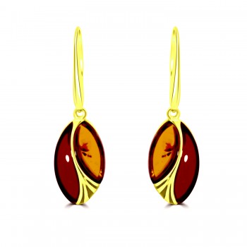 9ct Gold Amber and Garnet oval drop earrings