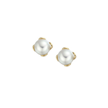 9ct Yellow Gold Pearl Studs