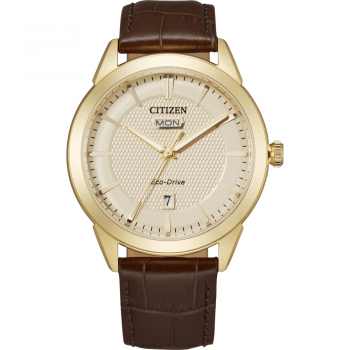 Citizen Eco-Drive Gold Strap Watch