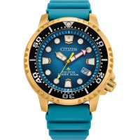 Citizen Eco-Drive Promaster Diver strap watch